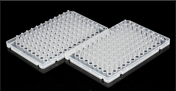 Placas PCR de polipropileno transparente descartáveis ​​ABI 96 bem contornadas